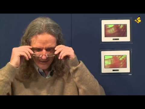 Spirituelles Weltgeschehen 64 TAGESENERGIEN | Bewusst.TV 11.11.2014