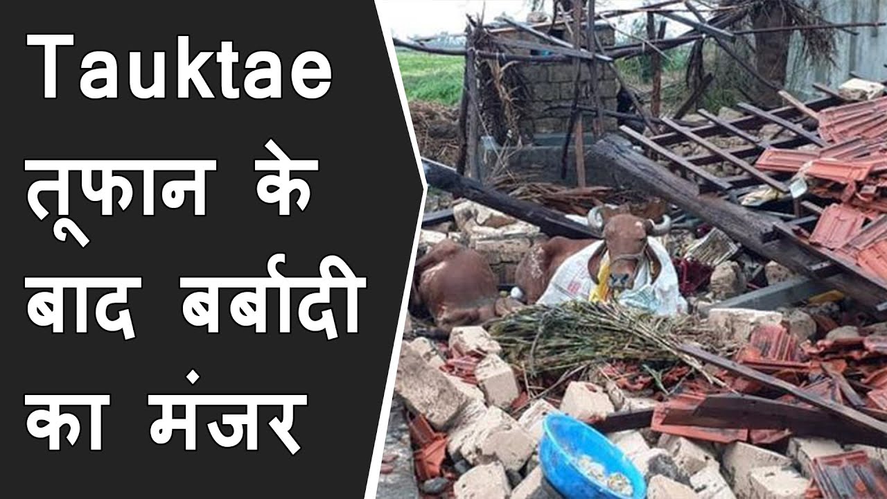 Tauktae cyclone के बाद 20 Image में Gujarat का हाल | 20 horrifying image of tauktae cyclone damage