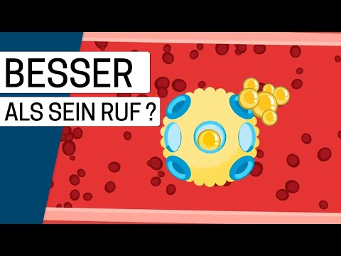 Was ist Cholesterin und was macht es in unserem Körper?