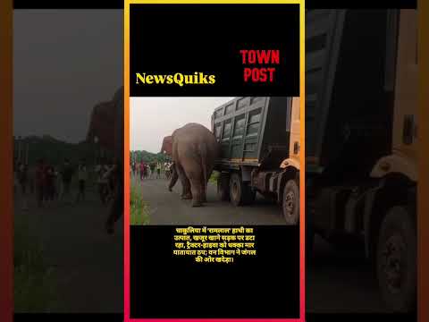 जमशेदपुर में ‘रामलाल’ हाथी का आतंक: सड़क पर एक घंटे तक मचा बवाल, ट्रैक्टर-हाइवा को मारा धक्का
