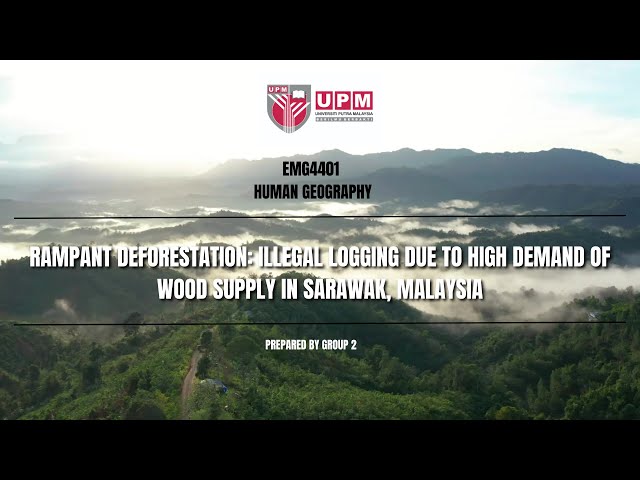 Rampant Deforestation: Illegal logging due to high demand of wood supply in Sarawak, Malaysia