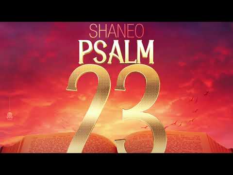 Countree Hype - Shane O - Psalm 23 [Official Audio]