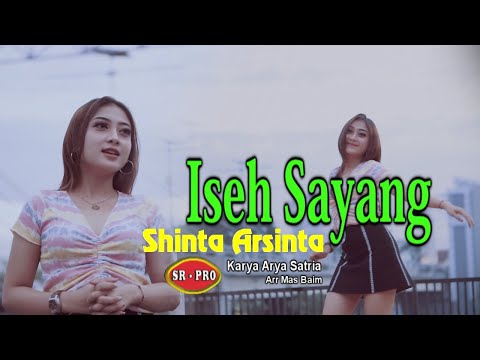 Shinta Arsinta - Iseh Sayang (Dj Santuy Kentrung)