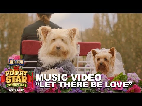 Puppy Star Christmas Music Video - "Let There Be Love"