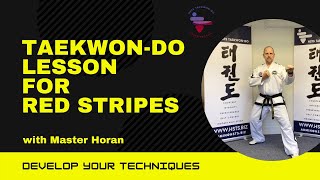 3rd kup fundamentals & Toi-Gye