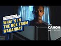 Falcon and Winter Soldier Episode 5: What’s in the Box From Wakanda? | MCU Canon Fodder