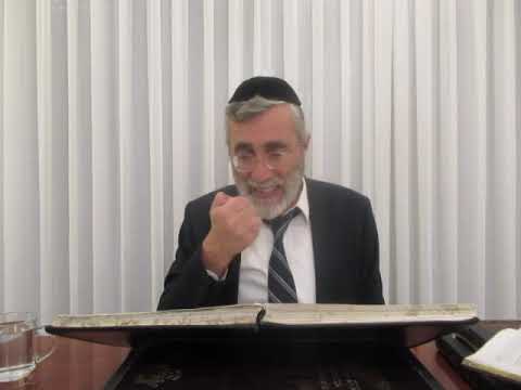 הרב יהושע ביבי - תשפ"ו - שער המצוות - שיעור מס' 029 - טעם מטרת המצוות לצרף ולברר וללבן הצלמים