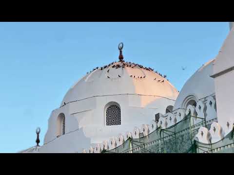 Professional Video Edit