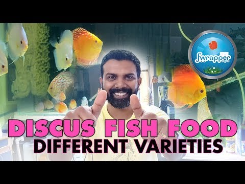 Discus Fish Food Different Varieties