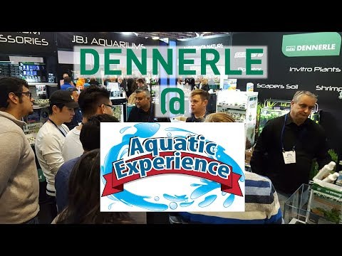 Watch Video on YouTube