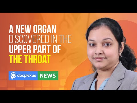 Scientists Found A New Organ In The Upper Part Of The Throat, And More