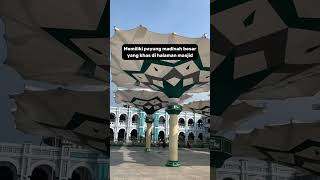 Download lagu 7 FAKTA MENARIK MASJID AGUNG KOTA PASURUAN #shorts #masjidindah #kubahmasjid #faktaunik mp3 Download lagu 7 FAKTA MENARIK MASJID AGUNG KOTA PASURUAN #shorts #masjidindah #kubahmasjid #faktaunik mp3