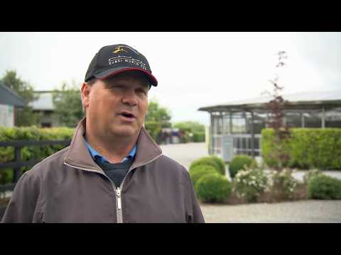 Tattersalls Irish Guineas Preview