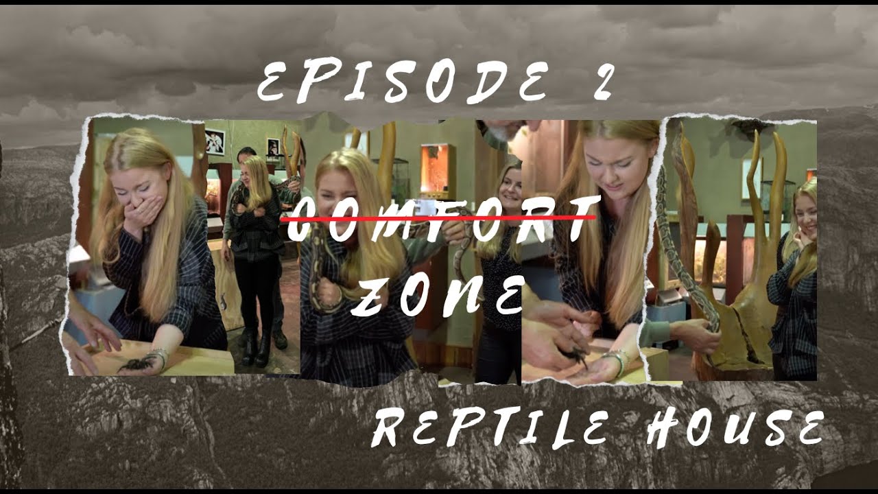 Episode 2 - Reptile house