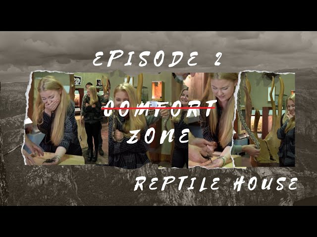 Episode 2 - Reptile house