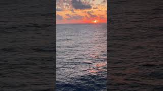 Gulf of America  #cruise #carnivalparadise #travel #viral #carnivalcruise #carnivalcruiseline