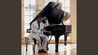 Maple Leaf Rag (Instrumental)