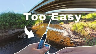 I Tried Urban Creek Fishing...