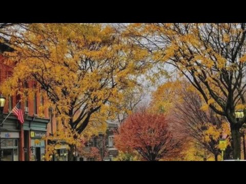 Where to see fall foliage in New York