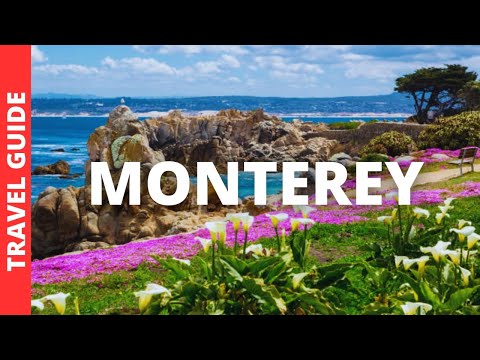 Monterey California Travel Guide: 18 BEST Things To Do In Monterey California CA