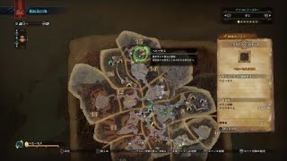 ベヒーモスソロ太刀オトモアリ2