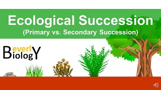 Ecological Succession (primary vs secondary)