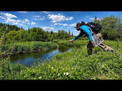 Streamers, Hiking &amp; Giant Brown Trout - Creek Fishing Adventure