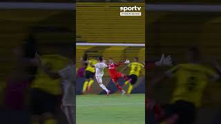 OS GOLS DE VOLTA REDONDA 3x0 FLAMENGO, PELO CARIOCÃO