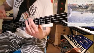 Rush - The Enemy Within bass and synths cover (on my Steinberger L2 and Groove Synthesis 3rd Wave)