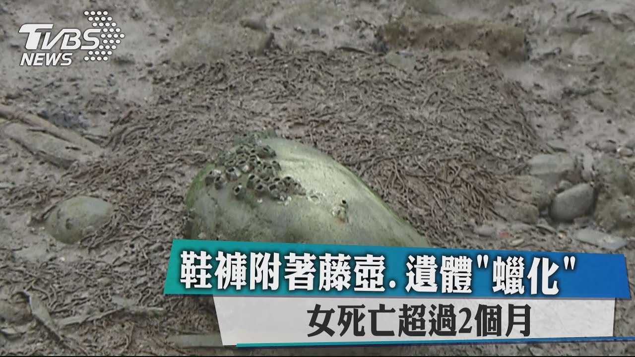 鞋褲附著藤壺、遺體「蠟化」 女死亡超過2個月