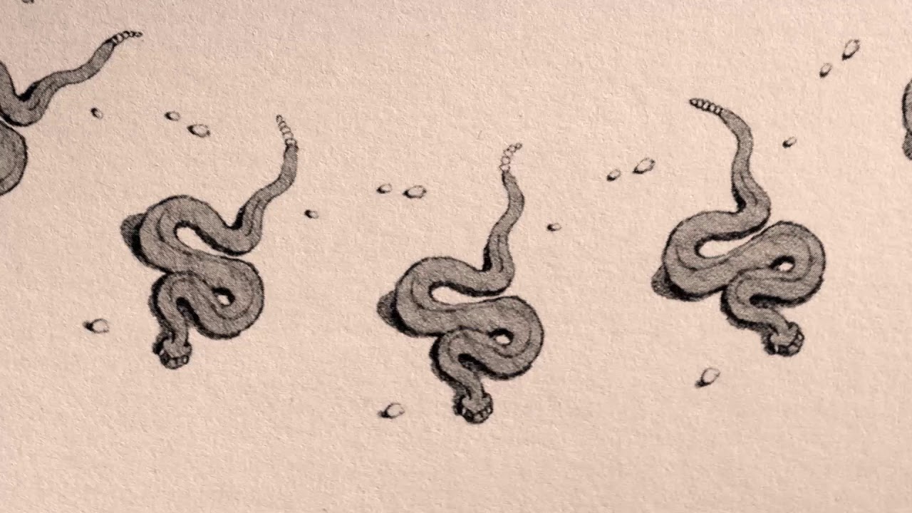 Placeholder from YouTube