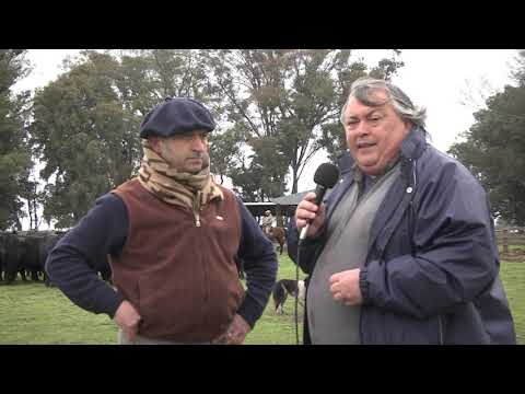 Oscar López de Armentia - cabaña "El Transito"