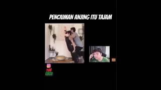 Download lagu STORY WA 30 DETIK LUCU NGAKAK || PENCIUMAN ANJING ITU TAJAM😂 || STORY WA TERBARU 2021 mp3 Download lagu STORY WA 30 DETIK LUCU NGAKAK || PENCIUMAN ANJING ITU TAJAM😂 || STORY WA TERBARU 2021 mp3
