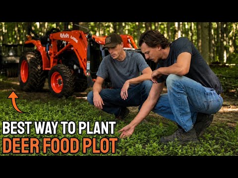 Creating the Best Deer Food Plot | Building the Ultimate Hunting Property ep.2