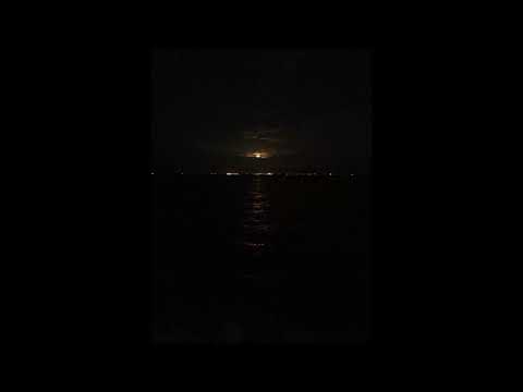 muody tymi - papierowy księżyc