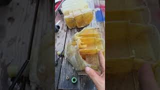 How to bypass coolant level sensor on a later model Peterbilt.