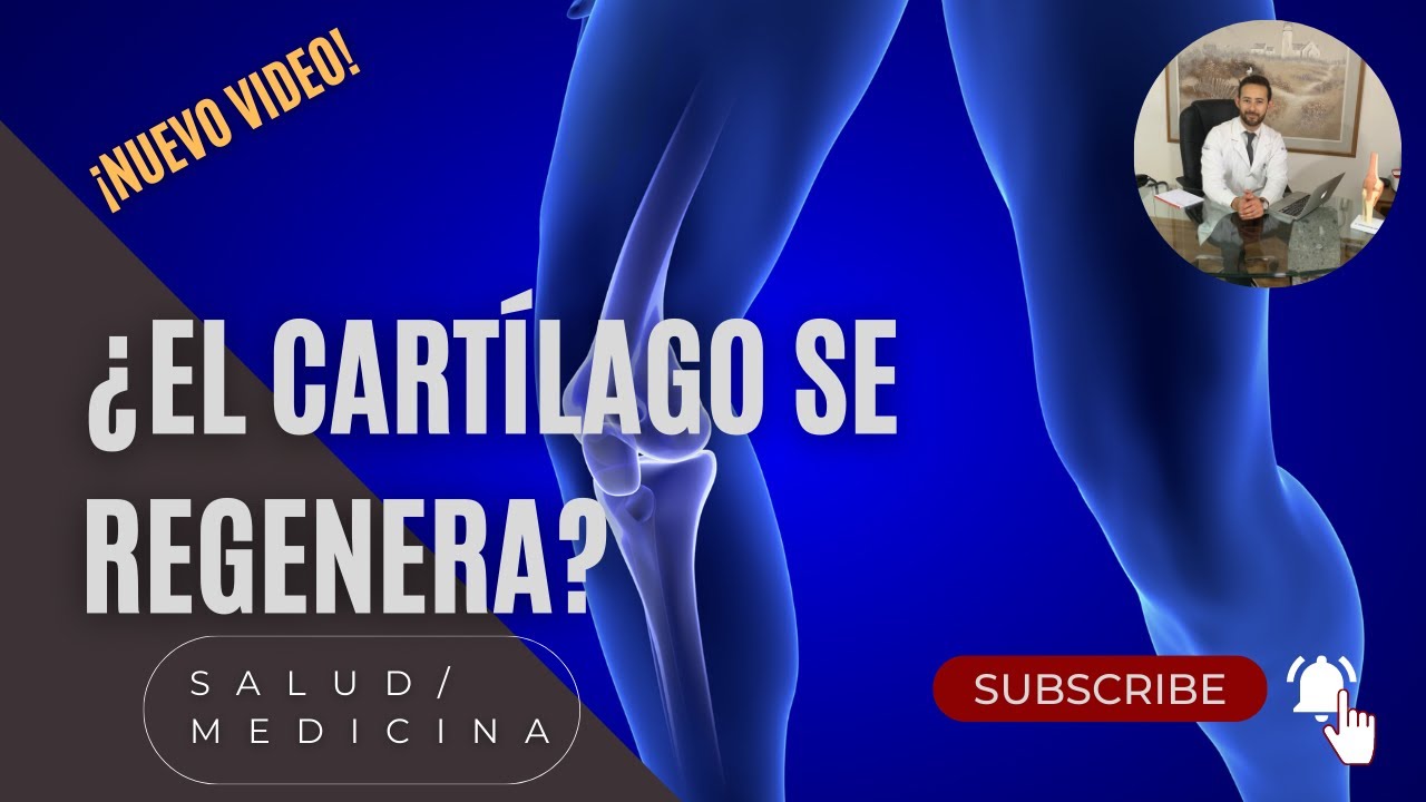 ¿El cartílago se regenera?