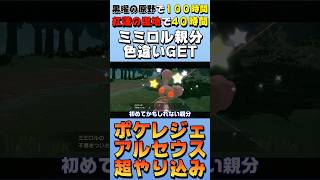 【色違い】ミミロルオヤブンの色違いを初めてゲットした日【ポケモンレジェンズアルセウス】