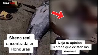 ENCUENTRAN SIRENA EN UKUNDA KENIA