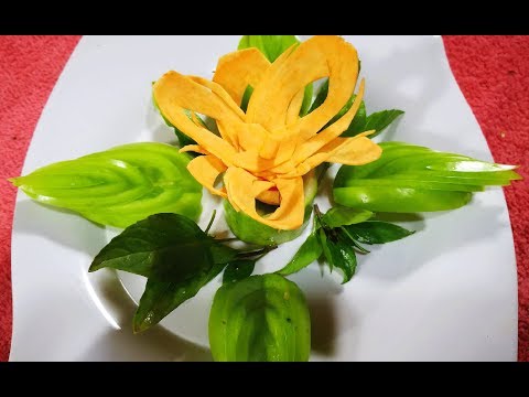 Action design tomato Sweet potatoes to  flower
