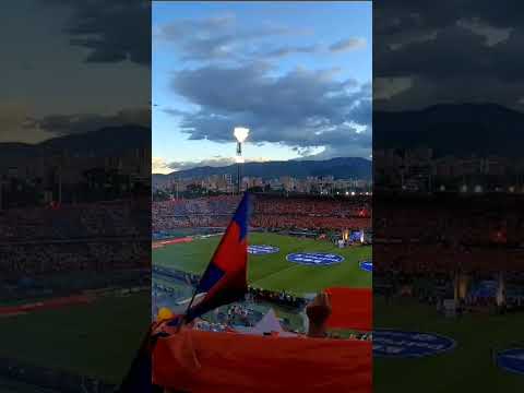 "La hinchada nunca defrauda, los jugadores si" Barra: Rexixtenxia Norte &bull; Club: Independiente Medellín