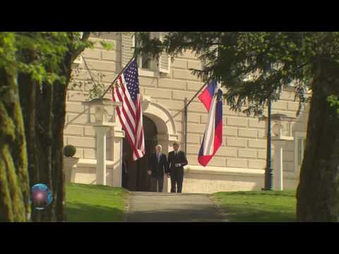 BUČKE E31P06 - HITRA HOJA