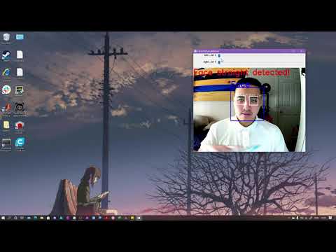 Facial Feature Detection Program Using Python And Opencv