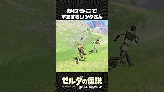 かけっこで不正するリンクさん【ゼルダの伝説 ブレワイ】