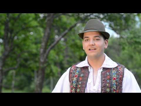 Stefan Vlasin - Bine ii sa fi fecior