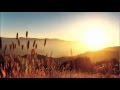 Salmonella Dub - SLIDE