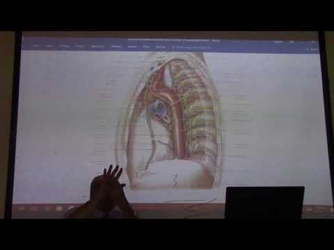 Anatomy of head & neck 60 ( Phrenic nerve  ) , by Dr. Wahdan