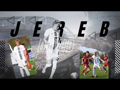 David Jereb ● National team of Slovenia U17 ● Striker ● Highlights 2024