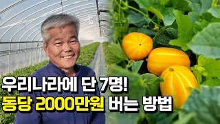 참외 농사 동당 2000만원 매출? 순수익은?