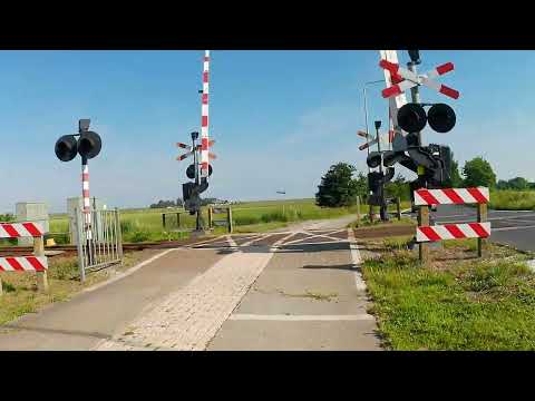 Cycling tour from 15-06-2022 part 1 Súdwest Fryslân. From Warns via Molkwerum towards Hindeloopen